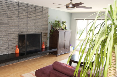 Living room fireplace
